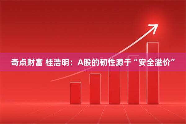 奇点财富 桂浩明：A股的韧性源于“安全溢价”